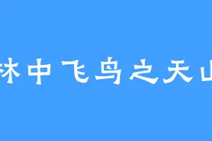 林中飞鸟之天山