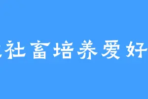 摆烂社畜培养爱好日常