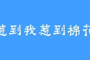 惹到我惹到棉花