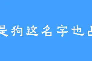 我是狗这名字也占了