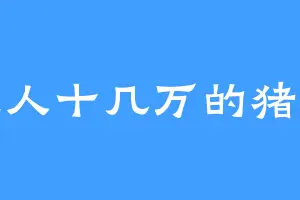 欠人十几万的猪姐