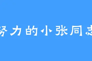 努力的小张同志