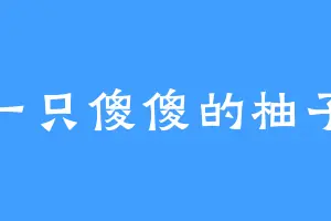一只傻傻的柚子