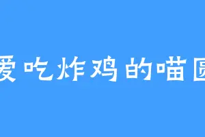 爱吃炸鸡的喵圆