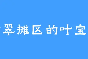 翡翠摊区的叶宝宝