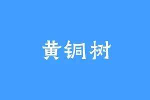 黄铜树