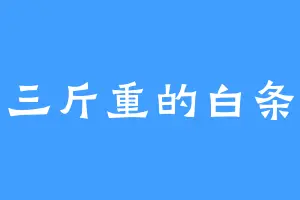 三斤重的白条