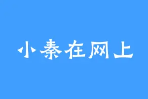 小秦在网上