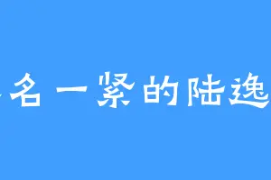 莫名一紧的陆逸询