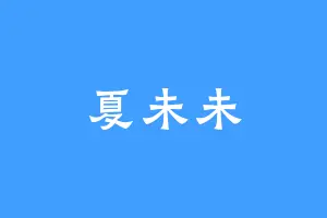夏未未