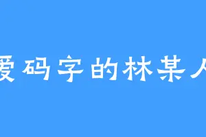爱码字的林某人