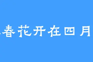 迎春花开在四月里