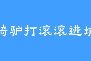 骑驴打滚滚进坑