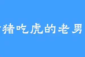 扮猪吃虎的老男人