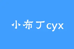 小布丁cyx