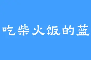 爱吃柴火饭的蓝灵