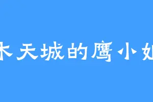 木天城的鹰小姐