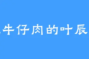爱吃牛仔肉的叶辰圣躯