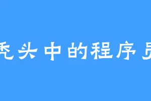秃头中的程序员